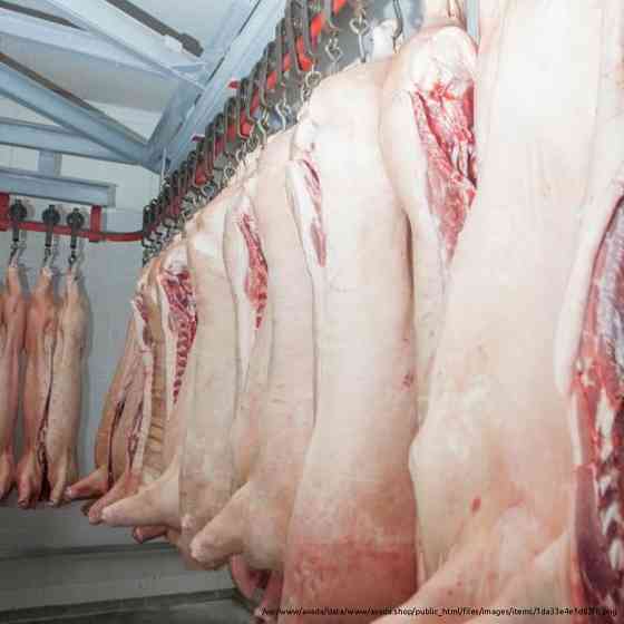 Производство и оптовые продажи мяса в ассортименте Moscow