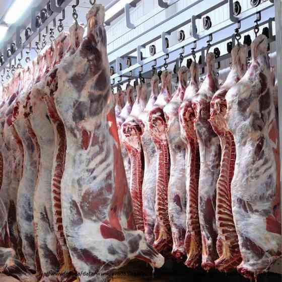 Производство мяса в ассортименте, продажа оптом Pushkino
