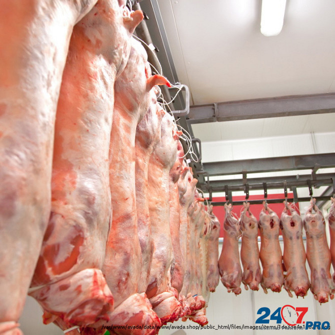 Производство мяса в ассортименте, продажа оптом Pushkino - photo 1