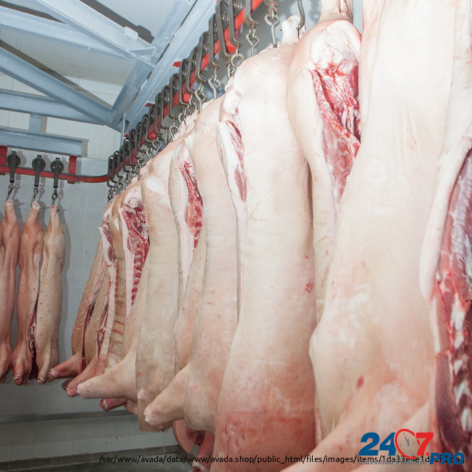 Производство мяса в ассортименте, продажа оптом Pushkino - photo 5