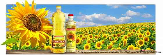Рафинированное нерафинированное подсолнечное масло "Мамруковское" от производителя оптом Krasnodar
