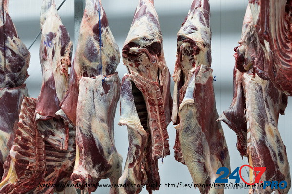 Опт мясо говядина, свинина, баранина, куриное Ашхабад Ashgabat - photo 1
