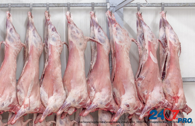 Опт мясо говядина, свинина, баранина, куриное Ашхабад Ashgabat - photo 3