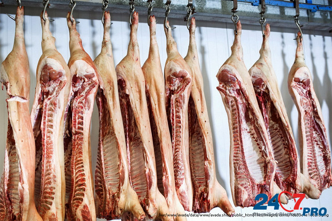 Опт мясо говядина, свинина, баранина, куриное Иваново Иваново - изображение 2