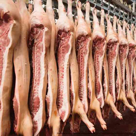 Говядина, свинина, мясо ЦБ оптом, отгрузка в регионы Москва
