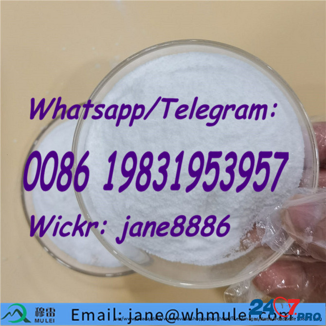 High Purity CAS 23239-88-5 Benzocaine Hydrochloride /Benzocaine with Low Price China Factory Supply Tai Po - photo 1
