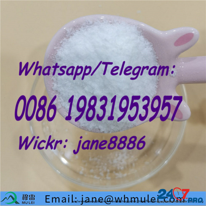 China Supplier Sell 99.9% Purity Powder Form CAS 59-46-1 Procaine Tai Po - photo 1