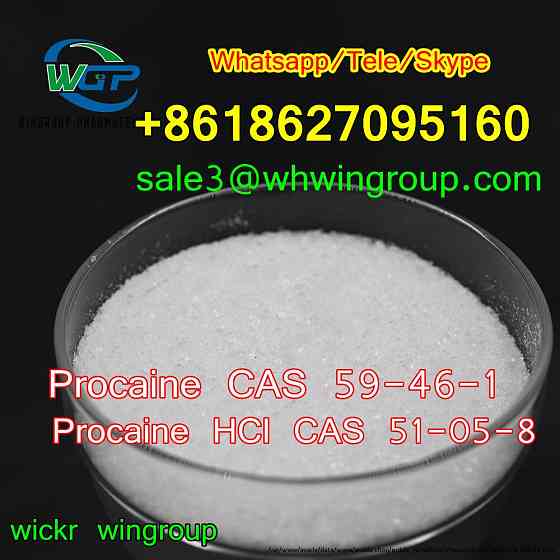 Buy Procaine HCI CAS 51-05-8 CAS 59-46-1 Procaine suppliers+8618627095160 Namur