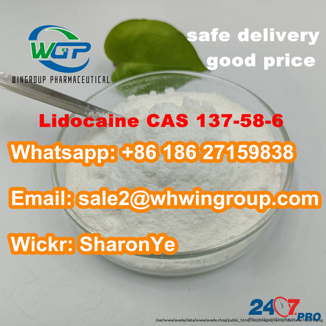 8618627159838 Lidocaine CAS 137-58-6 Benzocaine/Tetracaine with High Quality 100% Safe Delivery Лондон - изображение 2