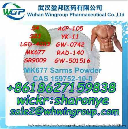 8618627159838 Sarms Powder Steriod Powder Bodybuilding Muscle Growth with Good Price London