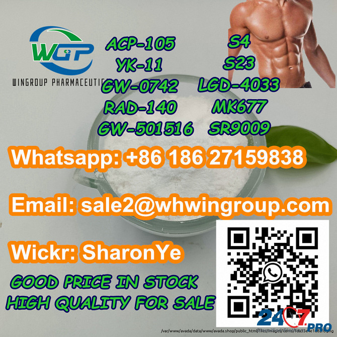 8618627159838 Sarms Powder Steriod Powder Bodybuilding Muscle Growth with Good Price Лондон - изображение 8
