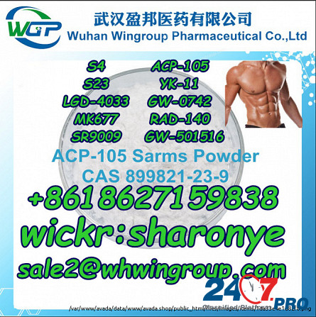 8618627159838 Sarms Powder Steriod Powder Bodybuilding Muscle Growth with Good Price Лондон - изображение 7