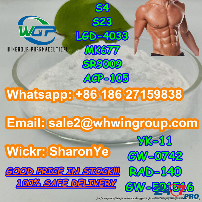 8618627159838 Sarms Powder Steriod Powder Bodybuilding Muscle Growth with Good Price Лондон - изображение 3