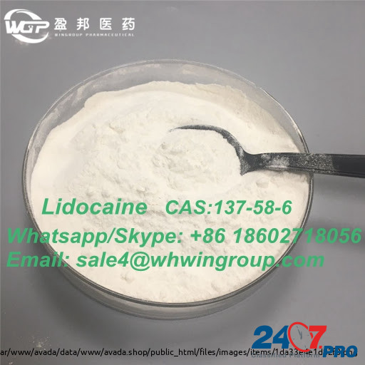 Factory Supply High Purity 99% CAS 137-58-6 Lidocaine with Safe Delivery Whatsapp:+86 18602718056 Darwin - photo 6