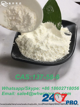 Factory Supply High Purity 99% CAS 137-58-6 Lidocaine with Safe Delivery Whatsapp:+86 18602718056 Darwin - photo 5