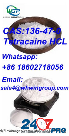 99.5% Purity Tetracaine Hydrochloride/HCl CAS:136-47-0 With Best Price Whatsapp:+86 18602718056 Дарвин - изображение 8
