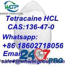 99.5% Purity Tetracaine Hydrochloride/HCl CAS:136-47-0 With Best Price Whatsapp:+86 18602718056 Дарвин - изображение 7