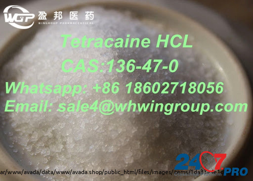 99.5% Purity Tetracaine Hydrochloride/HCl CAS:136-47-0 With Best Price Whatsapp:+86 18602718056 Дарвин - изображение 3