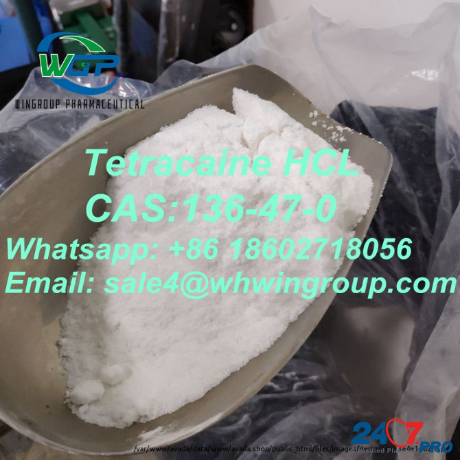 99.5% Purity Tetracaine Hydrochloride/HCl CAS:136-47-0 With Best Price Whatsapp:+86 18602718056 Дарвин - изображение 1