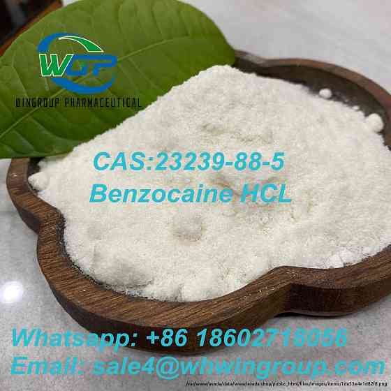 Local Anesthetic Pharma Grade CAS 23239-88-5 Benzocaine Hydrochloride Whatsapp: +86 18602718056 Дарвин
