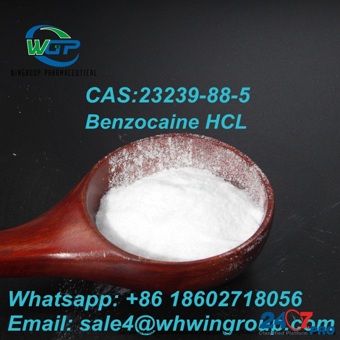 Local Anesthetic Pharma Grade CAS 23239-88-5 Benzocaine Hydrochloride Whatsapp: +86 18602718056 Дарвин - изображение 3