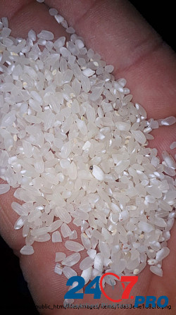 Продам рис (Казахстан)  - изображение 1