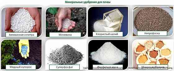 Закупаем калийные удобрения Новосибирск