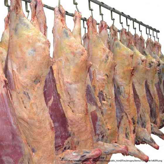 Мясо свинина, говядина, цыпленка бройлера собственного производства Smolensk