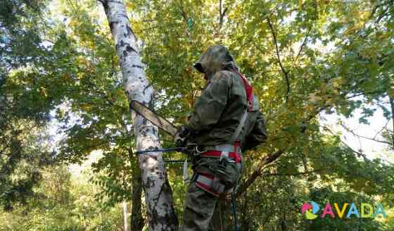 Спил деревьев, расчистка участков Novocherkassk