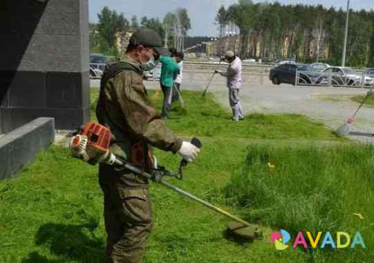 Спил деревьев, расчистка участков Novocherkassk