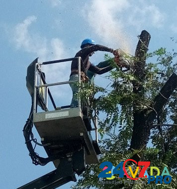 Спил деревьев, расчистка участков Новочеркасск - изображение 7