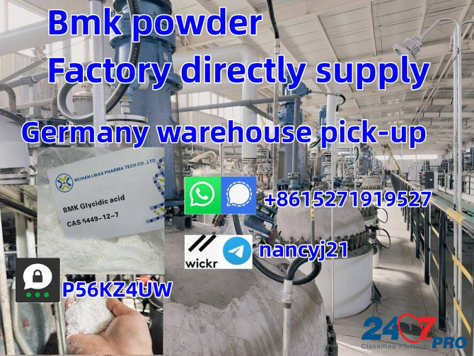 BMK Glycidate bmk powder 5449-12-7 Supplier germany warehouse Амстердам - изображение 1