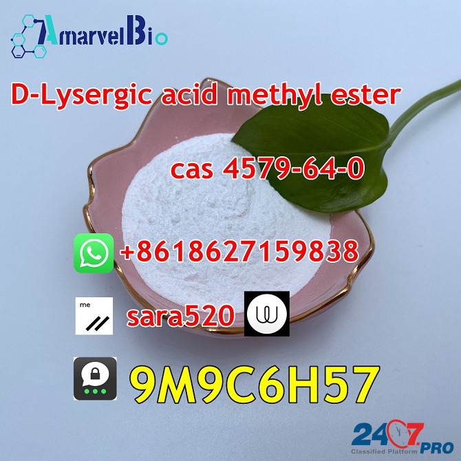 Wickr: sara520) CAS 4579-64-0 D-Lysergic acid methyl ester Зволле - изображение 7