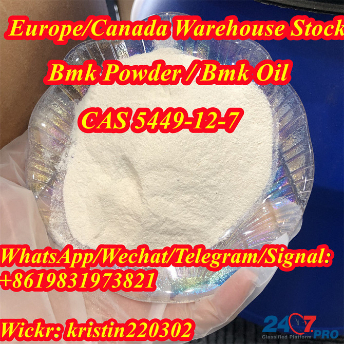 Germany Netherlands Poland Spain Canada BMK Glycidic Acid BMK Glycidate BMK Powder in Europe stock Stuttgart - photo 1