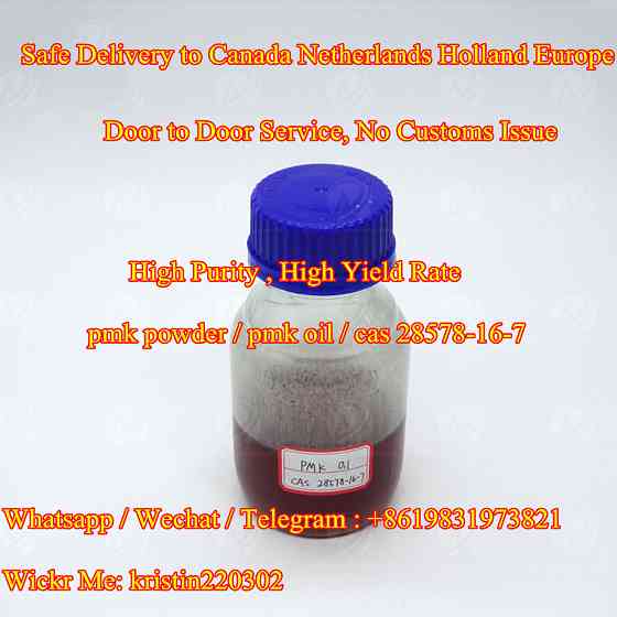Pmk powder 13605-48-6 low price high quality cas 28578-16-7 pmk oil Berlin