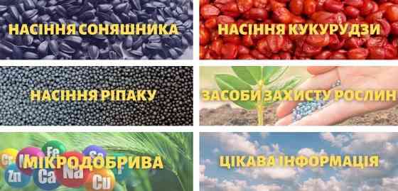 Відкрийте світ високоякісного насіння та ЗЗР з TK Agro Seeds Kiev