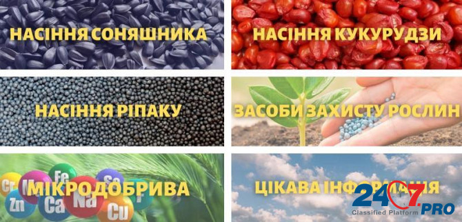 Відкрийте світ високоякісного насіння та ЗЗР з TK Agro Seeds Киев - изображение 1