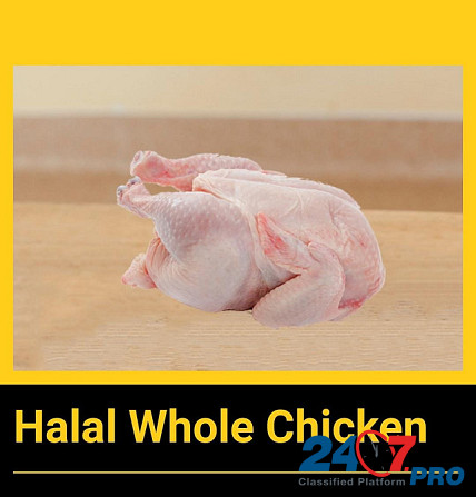 Dostawca Halal Mrożone całe kurczaki Kurczaki Halal Познань - изображение 5