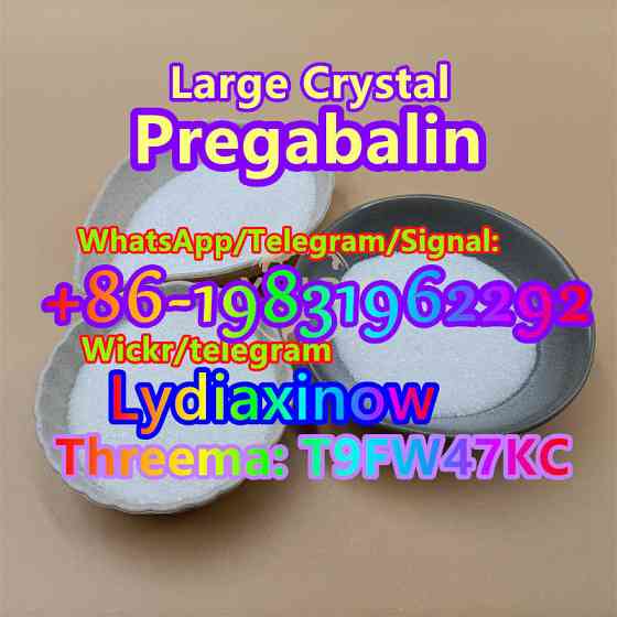 Chemcial factory gabapentin powder pregabalin crystal powder 148553-50-8 GABA Price Moscow