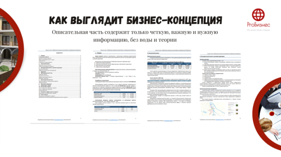 Бизнес-план для инвестора/банка/субсидии Moscow