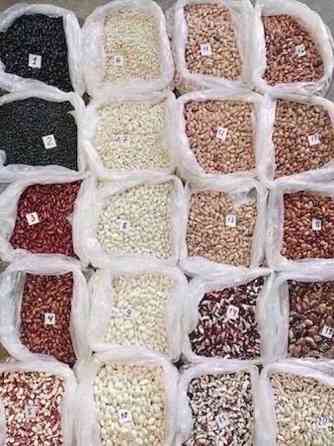 Sale of new crop beans Загреб