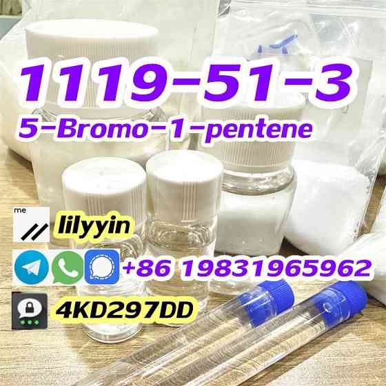 Supply 1119-51-3 5-Bromo-1-pentene Moscow