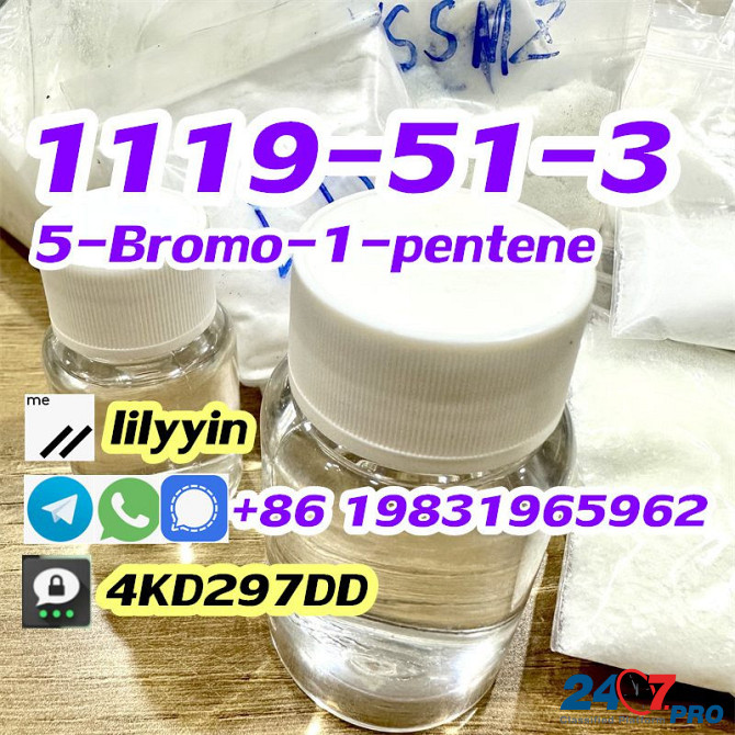 Supply 1119-51-3 5-Bromo-1-pentene Moscow - photo 7