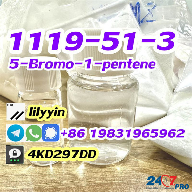 Supply 1119-51-3 5-Bromo-1-pentene Moscow - photo 6