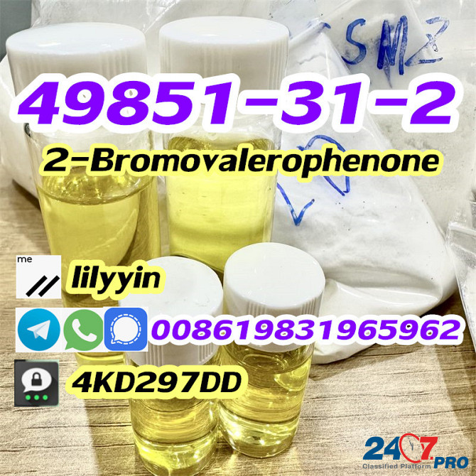 Cas 49851-31-2 2-Bromo-1-phenyl-1-pentanone Moscow - photo 3