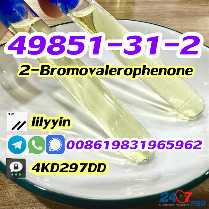 Cas 49851-31-2 2-Bromo-1-phenyl-1-pentanone Moscow - photo 8