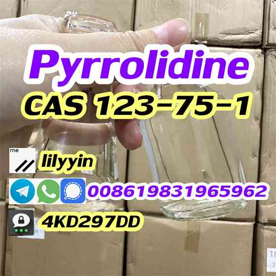Sale Factory Pyrrolidine cas 123-75-1 Kazakhstan Russia Moscow