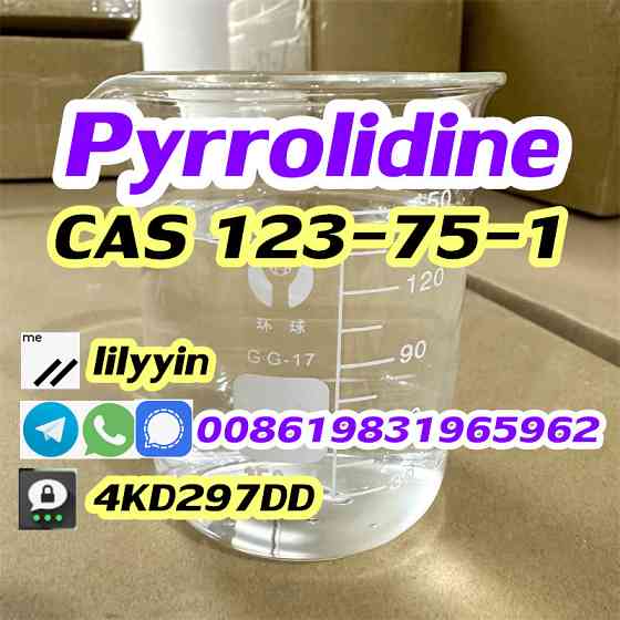 Supply factory Pyrrolidine cas 123-75-1 Moscow