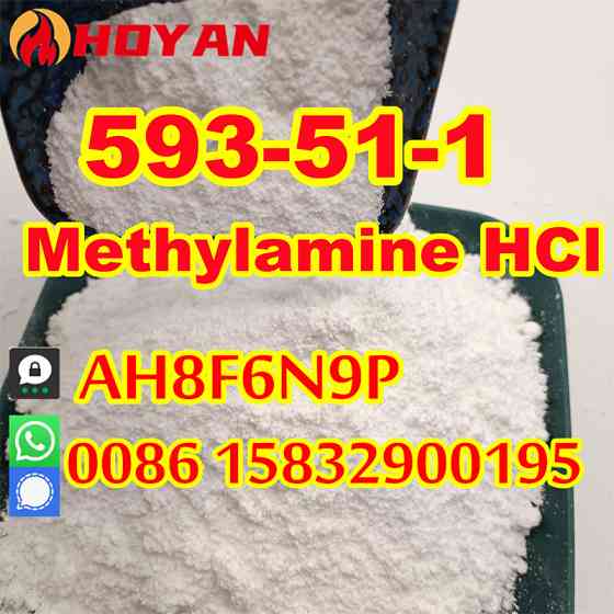 CAS 593-51-1 Methylamine HCl white powder mma China supplier Utrecht