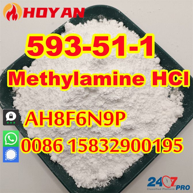 CAS 593-51-1 Methylamine HCl white powder mma China supplier Утрехт - изображение 4
